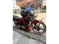 Sahibinden Arora CG 50