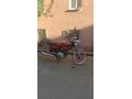 Sahibinden Arora CG 50