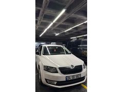 Sahibinden Skoda Octavia 1.6 TDI Optimal 2016 Model  210.000 km Beyaz
