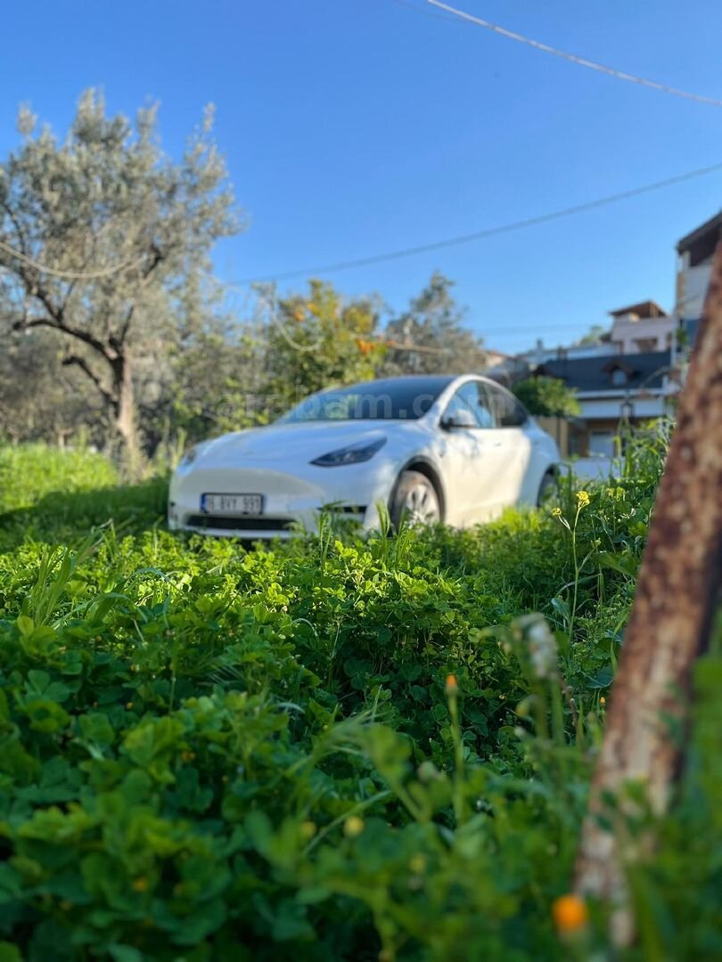 Sahibinden Tesla Model Y Standart (Juniper) 2024 Model Bursa 48.700 km Beyaz 7