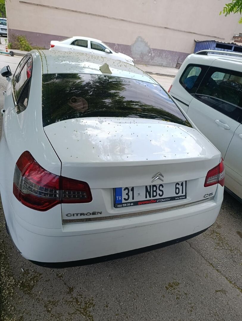 Sahibinden Citroen C5 1.6 e-HDi Confort 2012 Model Çanakkale 211.000 km Beyaz 5