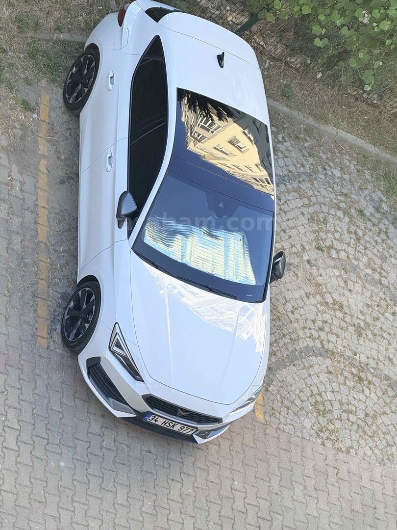 Sahibinden Cupra Leon 1.5 eTSI Standart 2023 Model İstanbul 24.000 km Beyaz 3