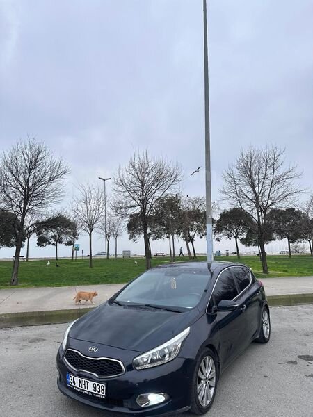 Sahibinden Kia Ceed 1.6 CRDi Concept Plus 2014 Model İstanbul 256.000 km Siyah