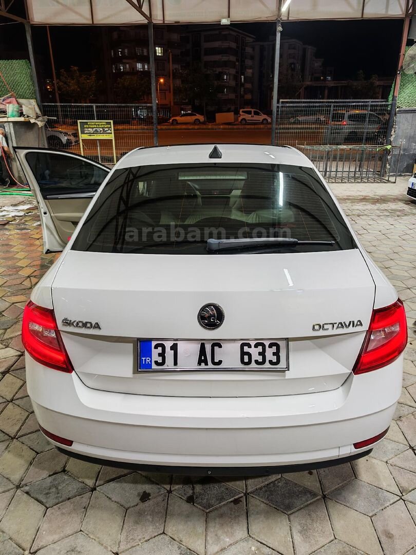 Sahibinden Skoda Octavia 1.6 TDI Style 2017 Model Şanlıurfa 200.000 km Beyaz 4