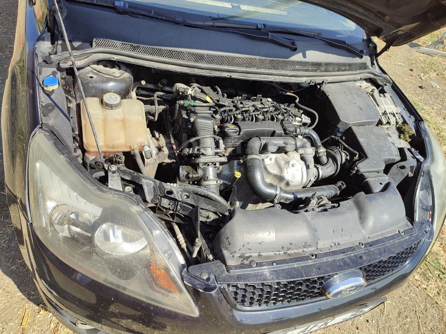Sahibinden Ford Focus 1.6 TDCi Collection 2011 Model Çorum 275.000 km Siyah 4