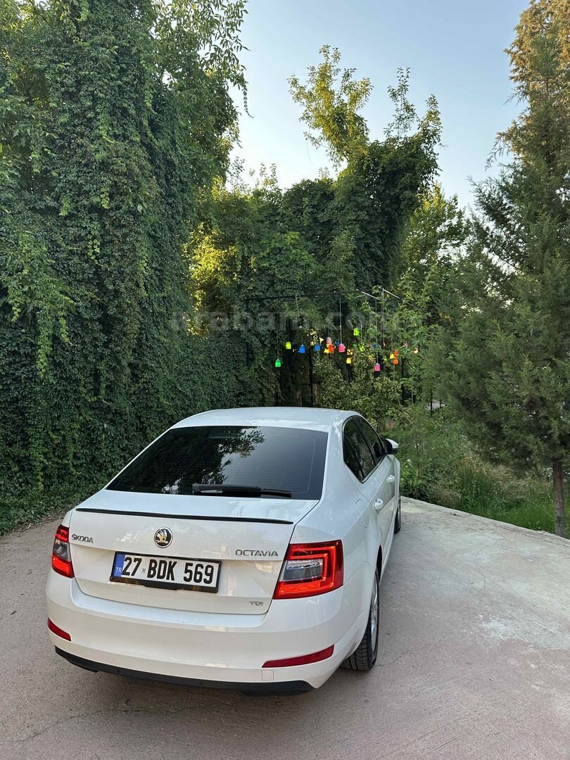 Sahibinden Skoda Octavia 1.6 TDI Elegance CR 2013 Model Gaziantep 196.500 km Beyaz 1