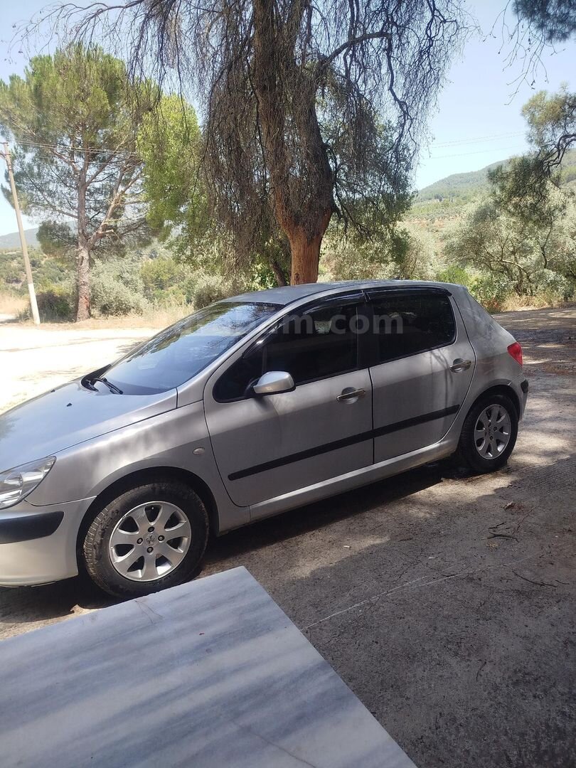 Sahibinden Peugeot 307 1.6 XT 2004 Model Muğla 134.000 km Gri 3