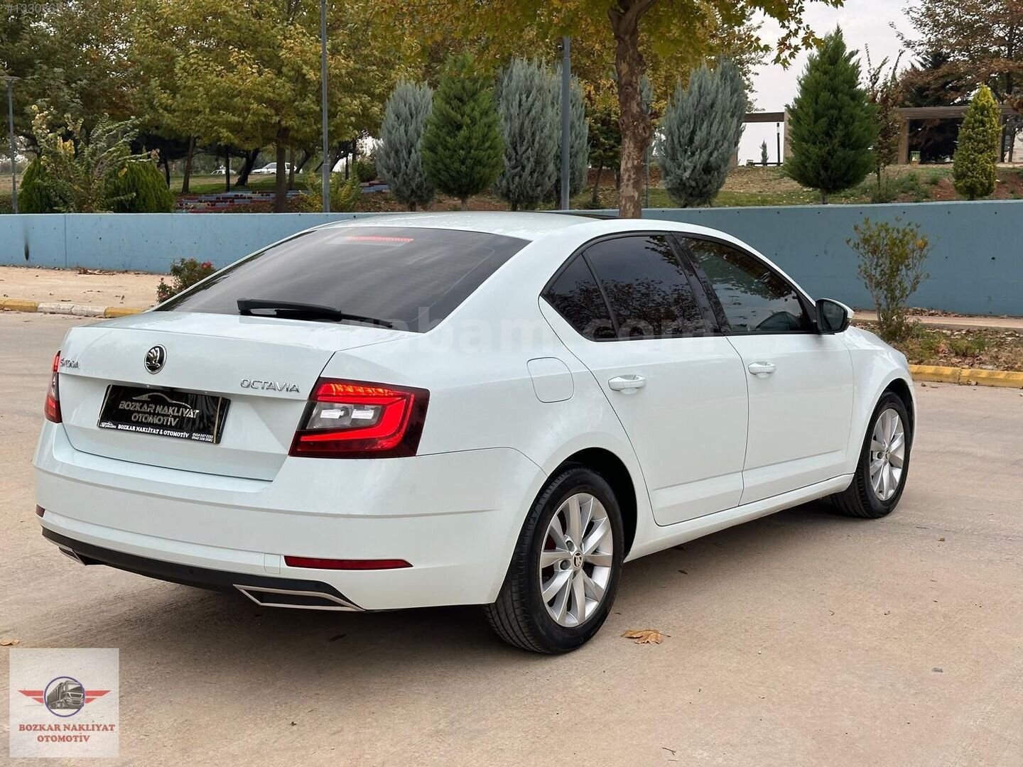 Galeriden Skoda Octavia 1.6 TDI Style 2019 Model Şanlıurfa 173.000 km Beyaz 4