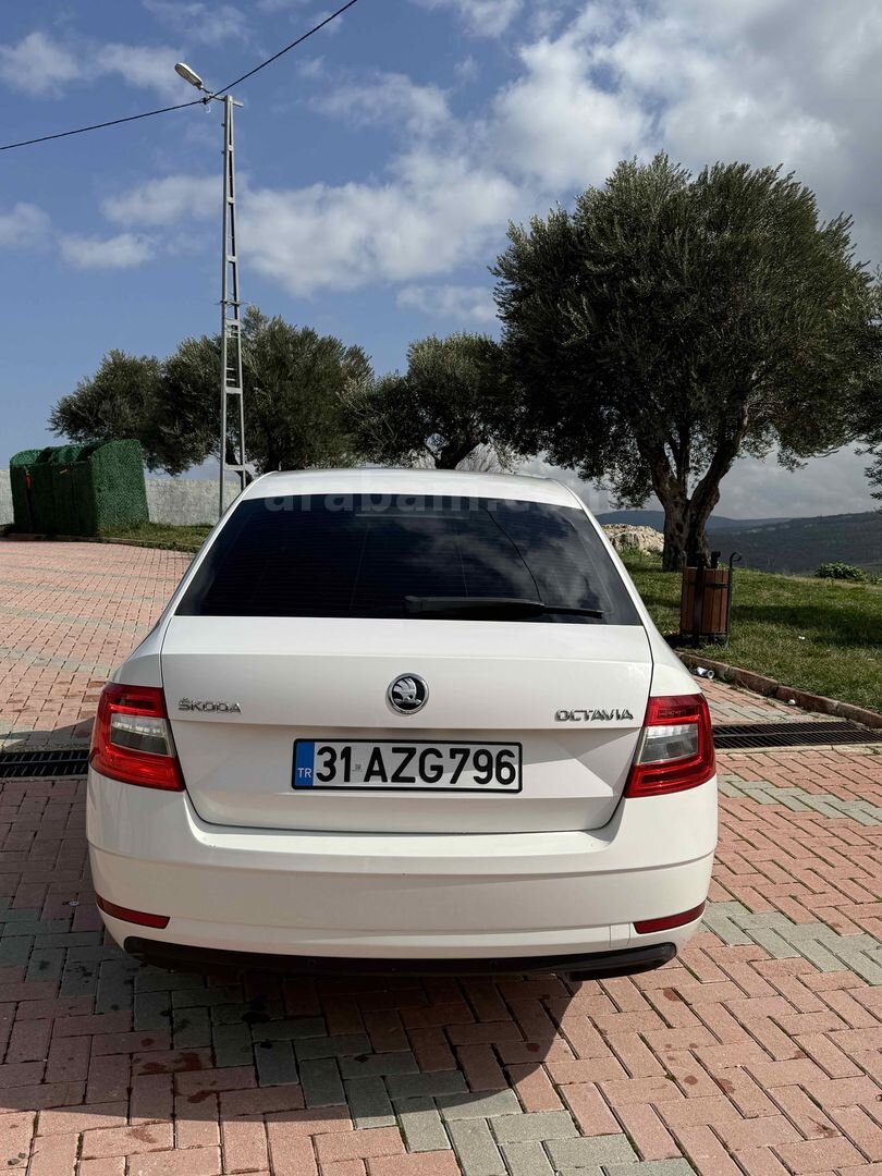 Sahibinden Skoda Octavia 1.6 TDI Optimal 2017 Model Hatay 215.000 km Beyaz 5
