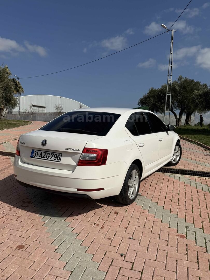 Sahibinden Skoda Octavia 1.6 TDI Optimal 2017 Model Hatay 215.000 km Beyaz 7