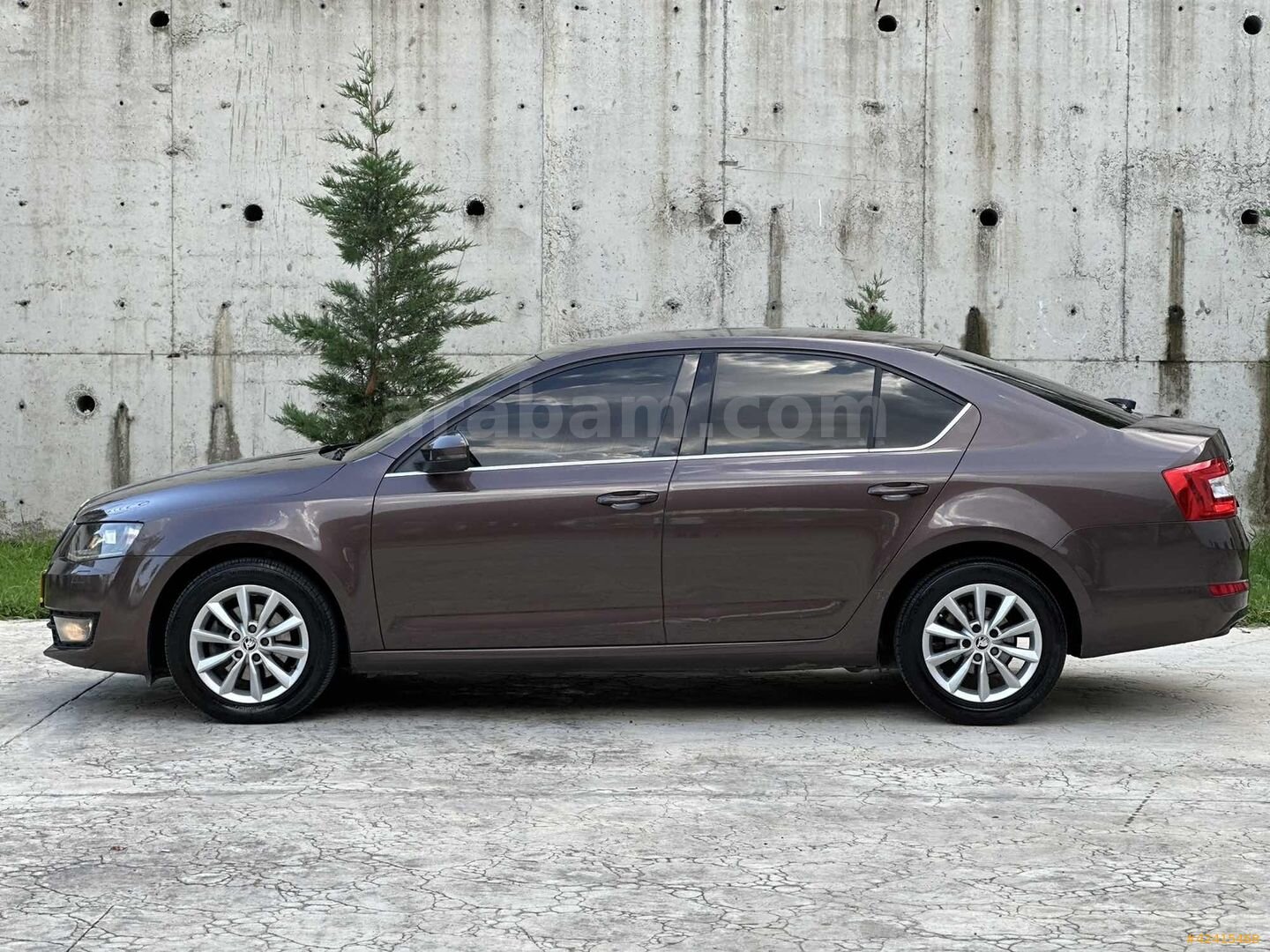 Galeriden Skoda Octavia 1.6 TDI Elegance CR 2013 Model Ordu 205.000 km Kahverengi 5