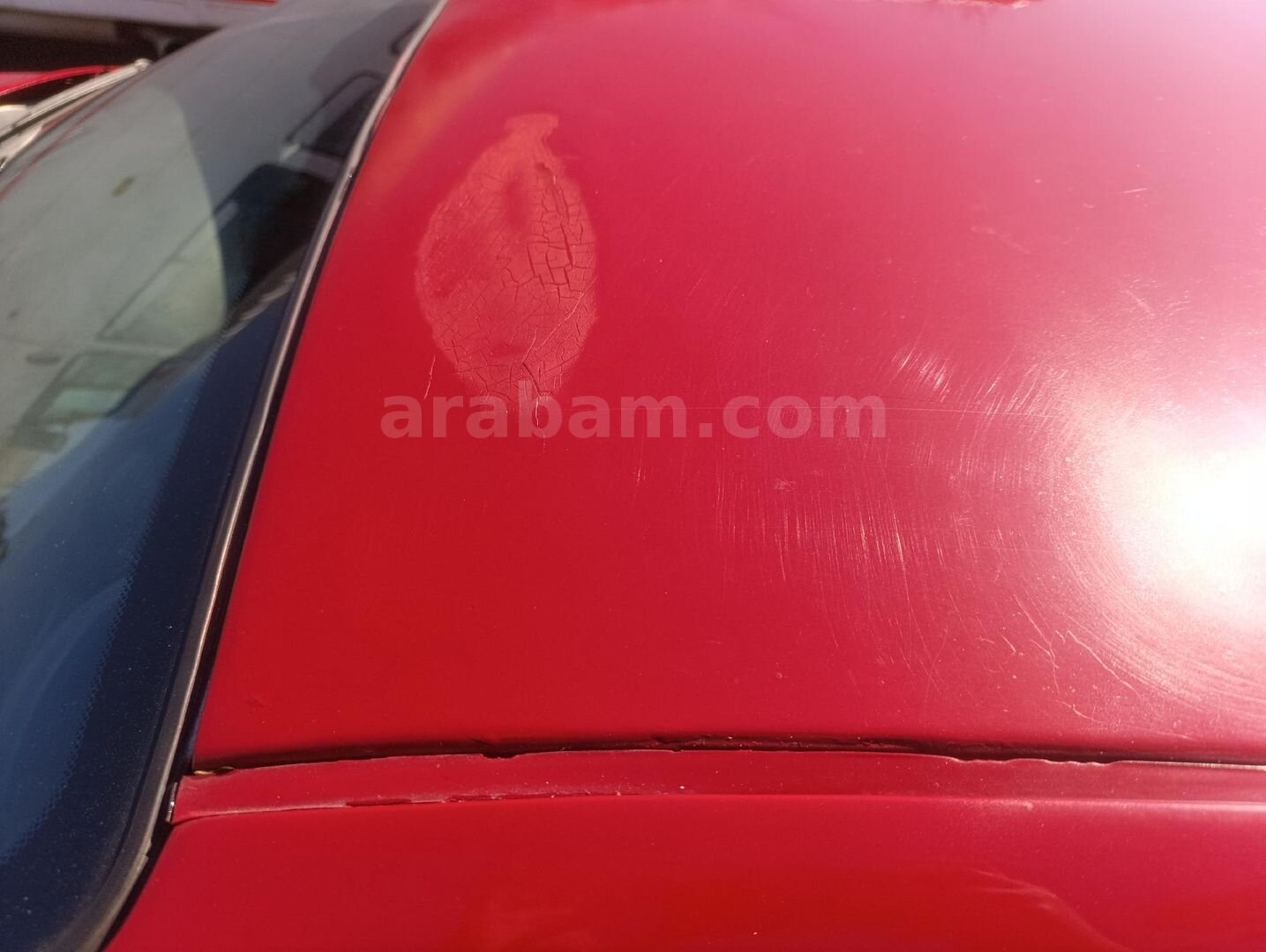 Sahibinden Kia Sephia 1.5 LS 1999 Model Aydın 248.000 km Bordo 2
