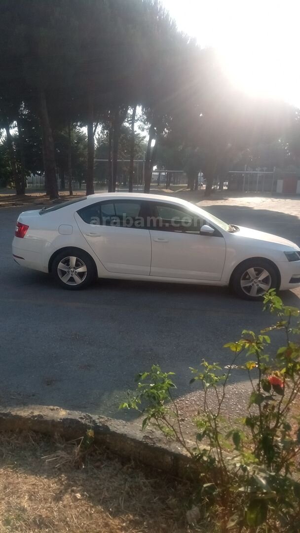 Sahibinden Skoda Octavia 1.6 TDI Optimal 2017 Model Yalova 216.000 km Beyaz 3