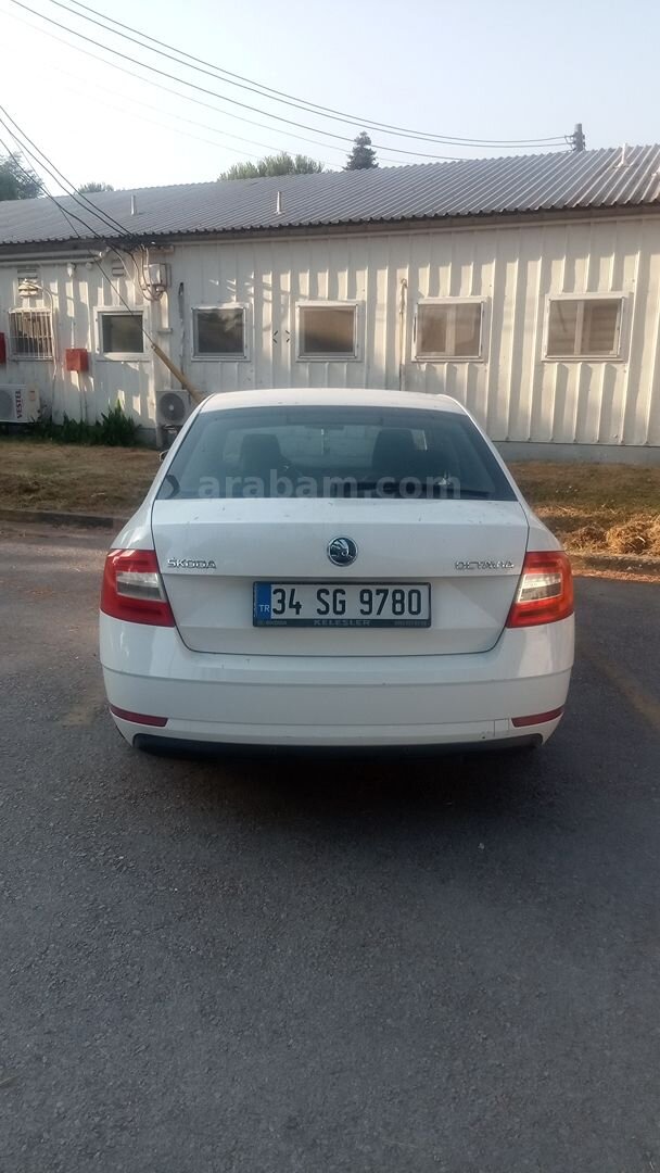 Sahibinden Skoda Octavia 1.6 TDI Optimal 2017 Model Yalova 216.000 km Beyaz 5