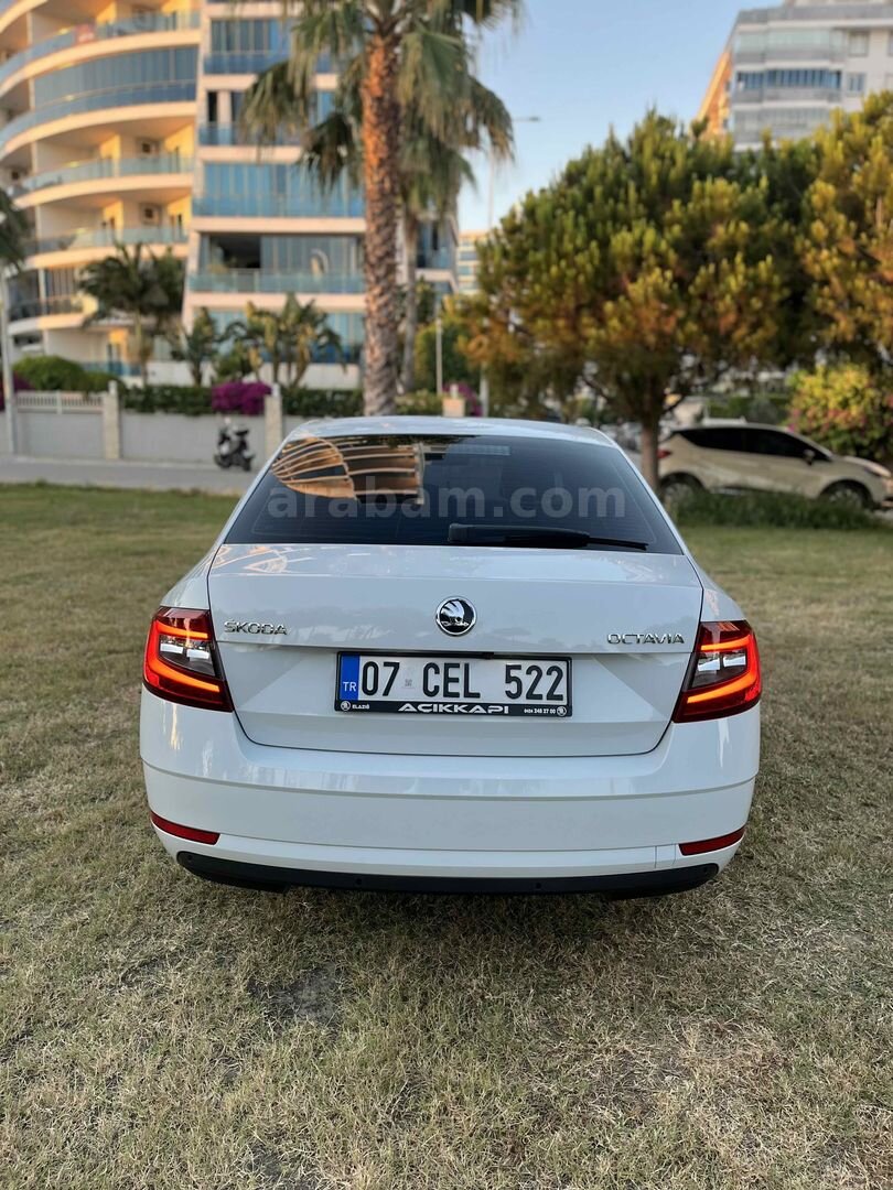 Sahibinden Skoda Octavia 1.6 TDI Style 2019 Model Antalya 94.500 km Beyaz 7