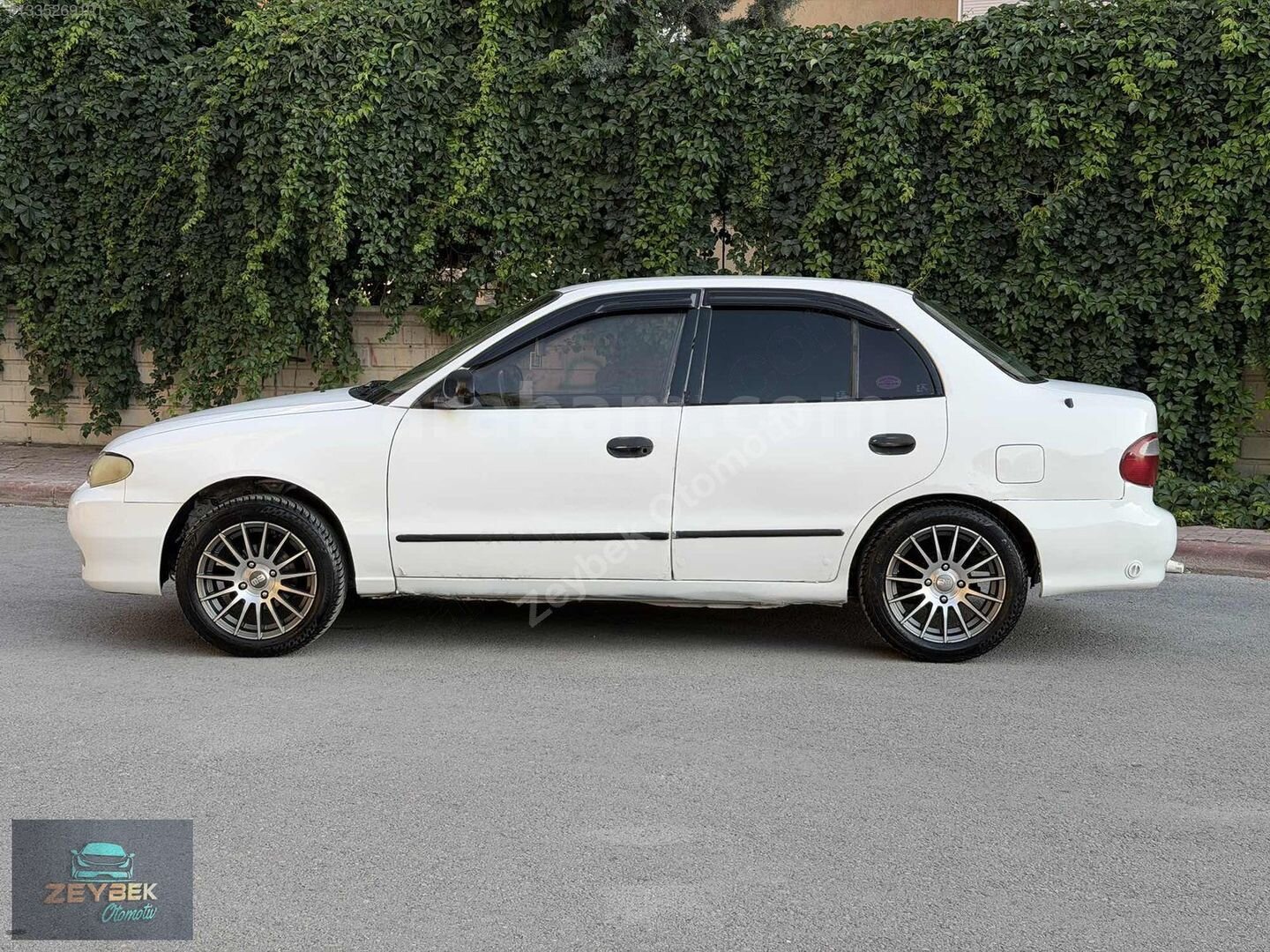 97 model Yumurta kasa ACCENT 6