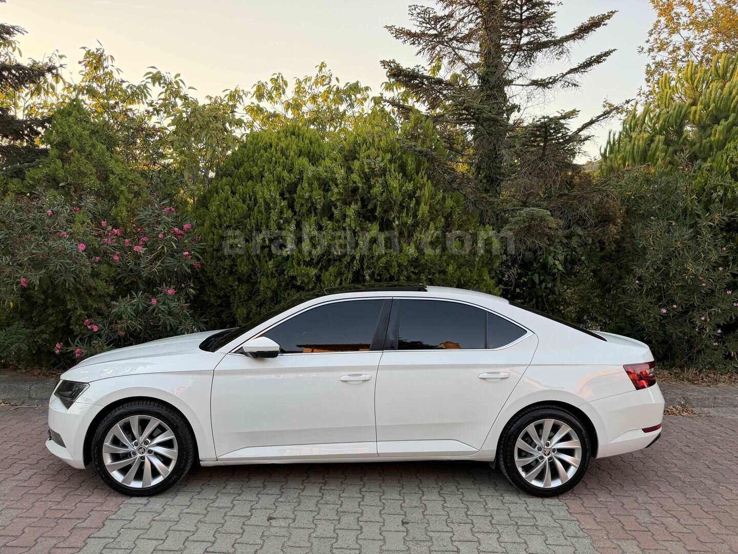 Galeriden Skoda SuperB 1.6 TDI Prestige 2017 Model İstanbul 123.000 km Beyaz 7