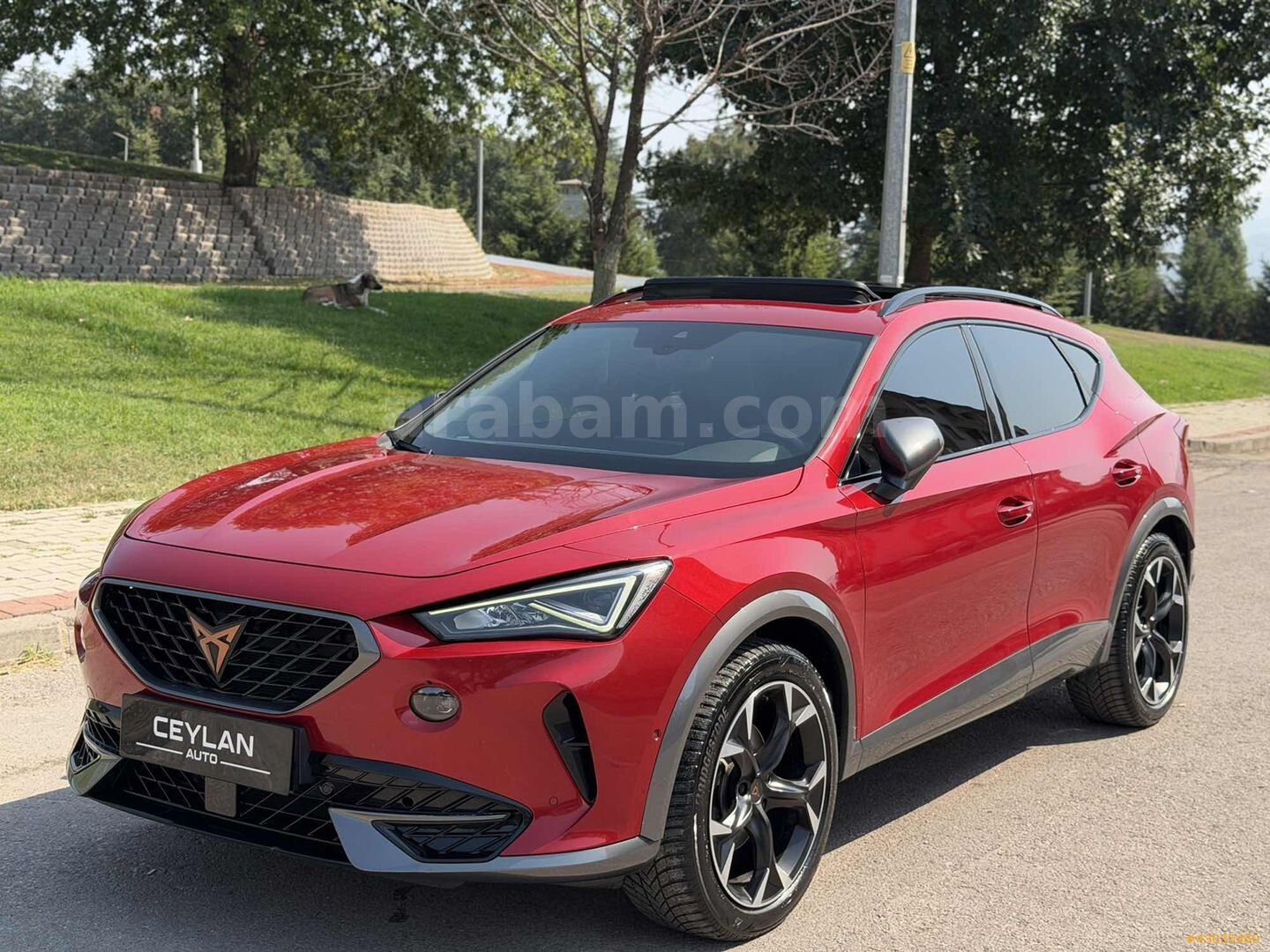// SEAT CUPRA HATASIZ BOYASIZ 84.000 KM FULL // 6