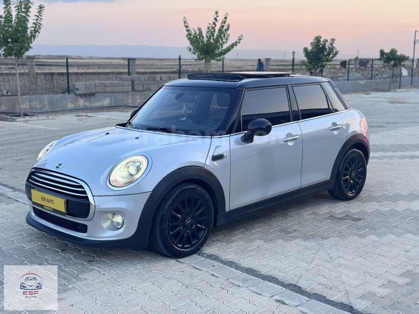 ESF Autodan Mini Cooper Chili 3