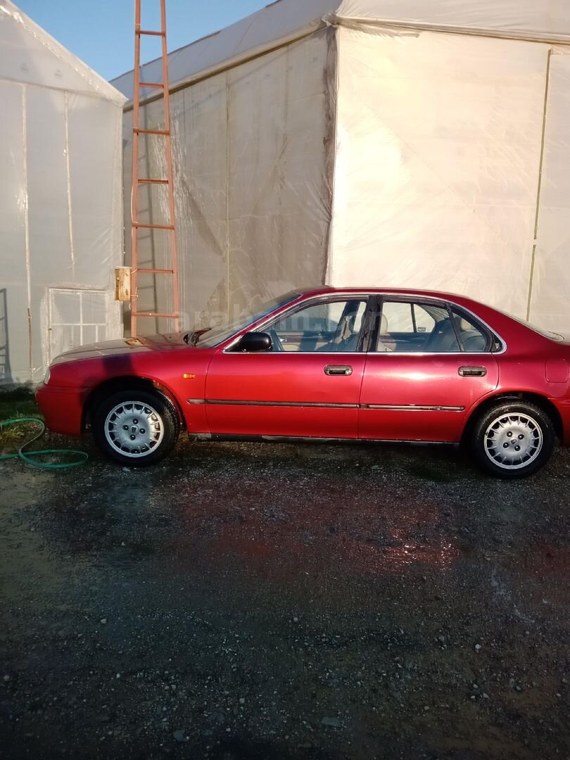 Sahibinden Rover 623 Si 1997 Model Mersin 184.000 km Bordo 3