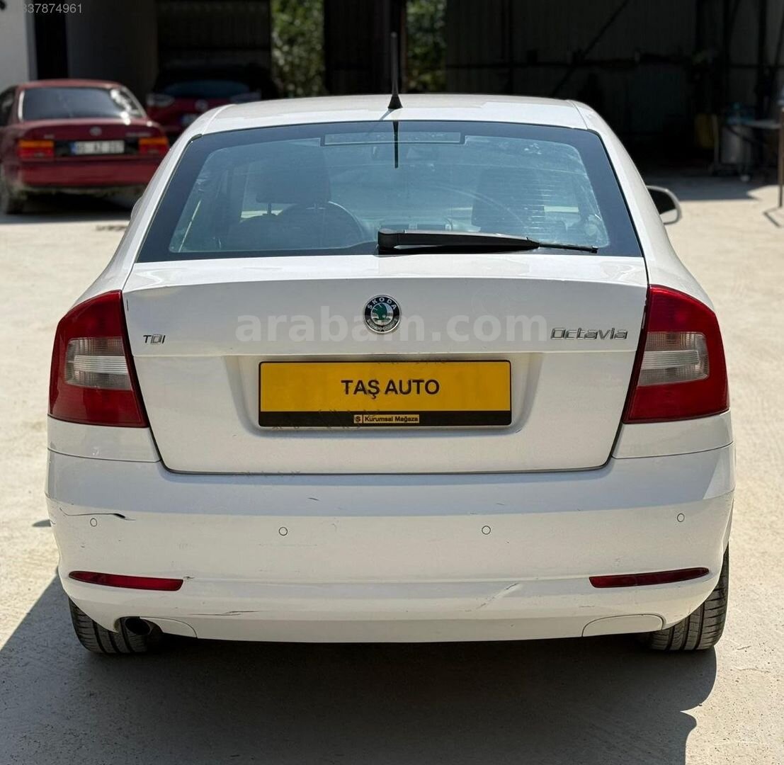 TAŞ AUTO dan hatasız octavia 5
