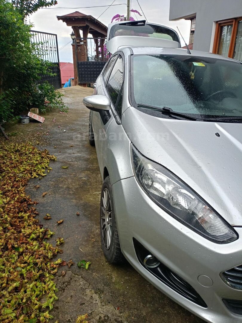 Sahibinden Ford Fiesta 1.5 TDCi Trend 2013 Model Sakarya 241.000 km Gri 1