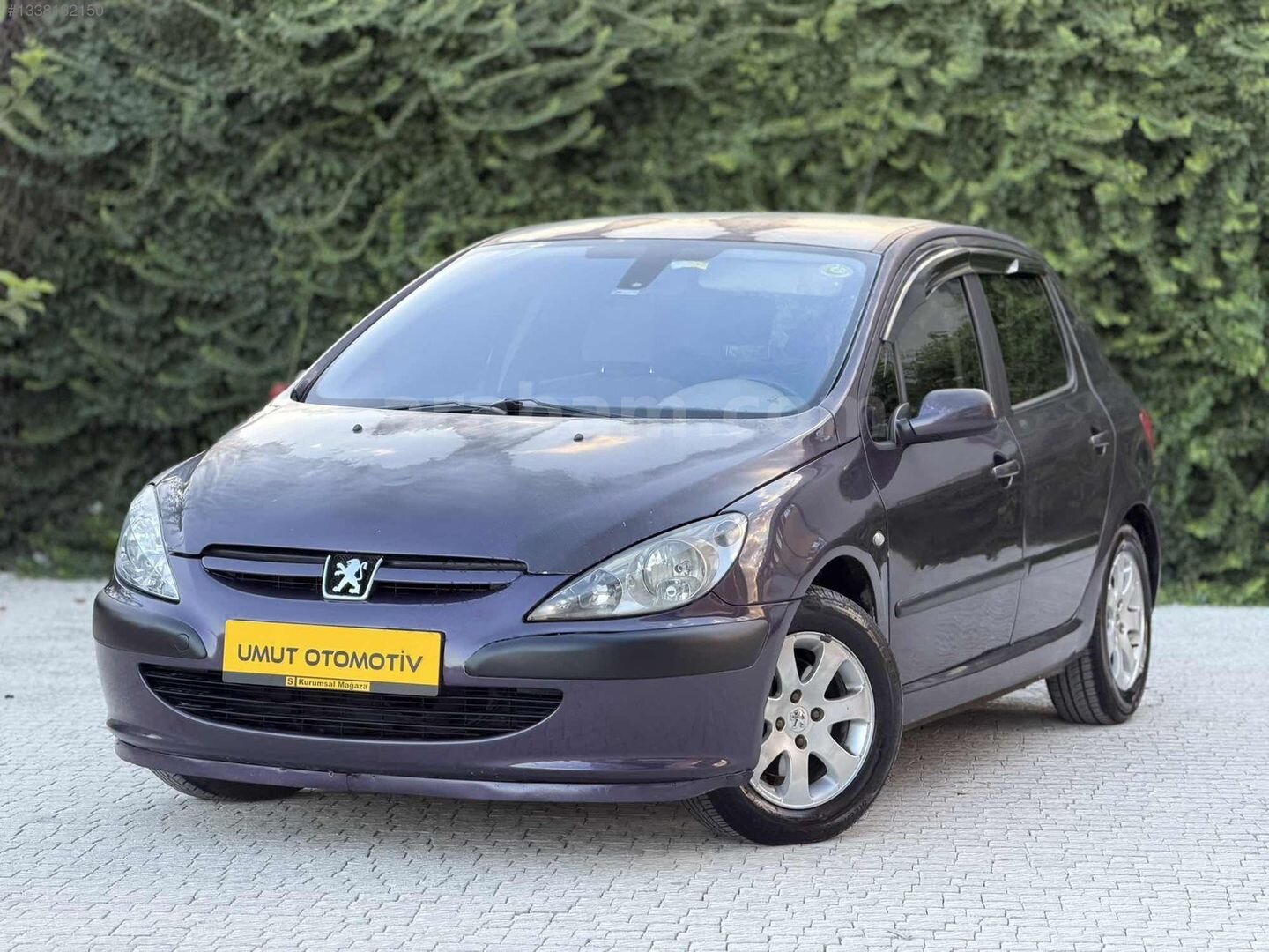TERTEMİZ TAM OTOMATİK 307 DEGİŞENSİZ 3