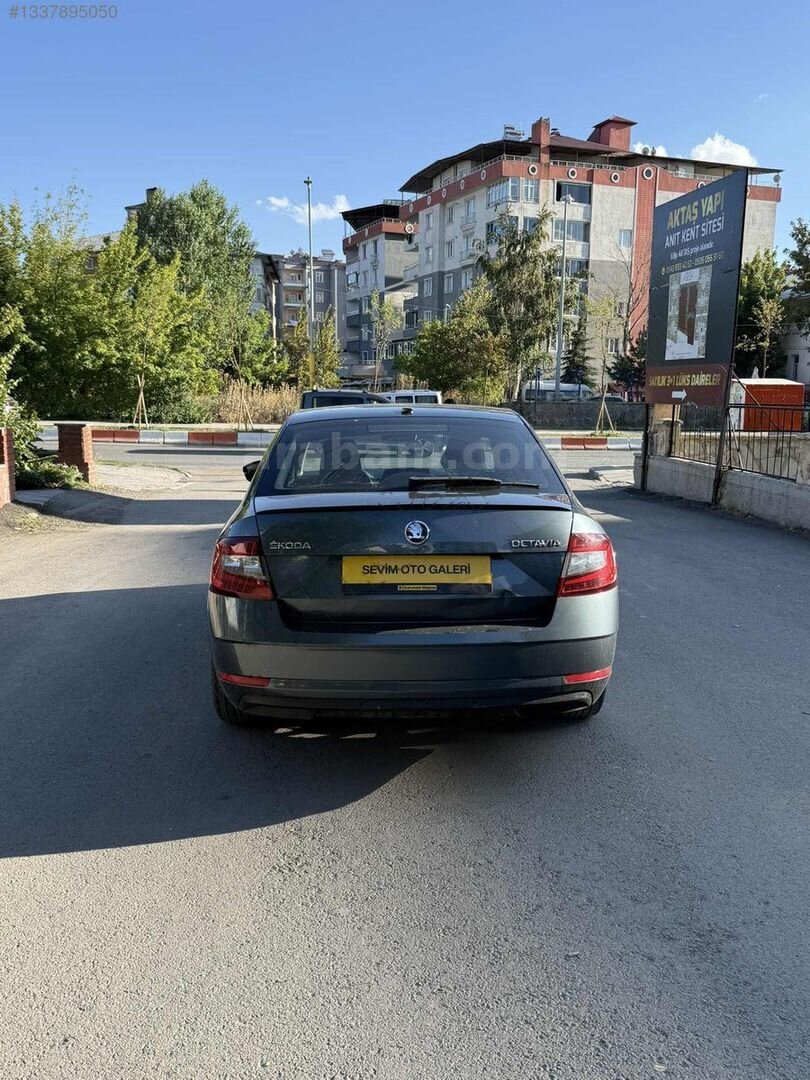 TEMİZ OCTAVİA 6