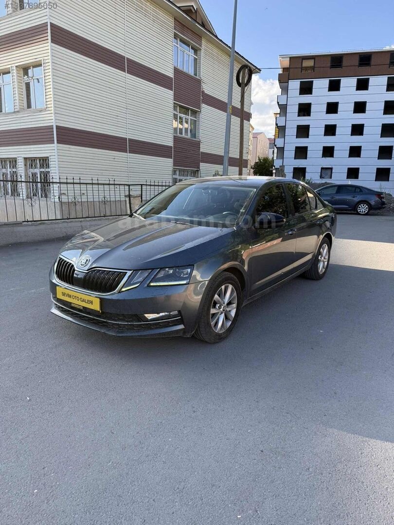 TEMİZ OCTAVİA 2