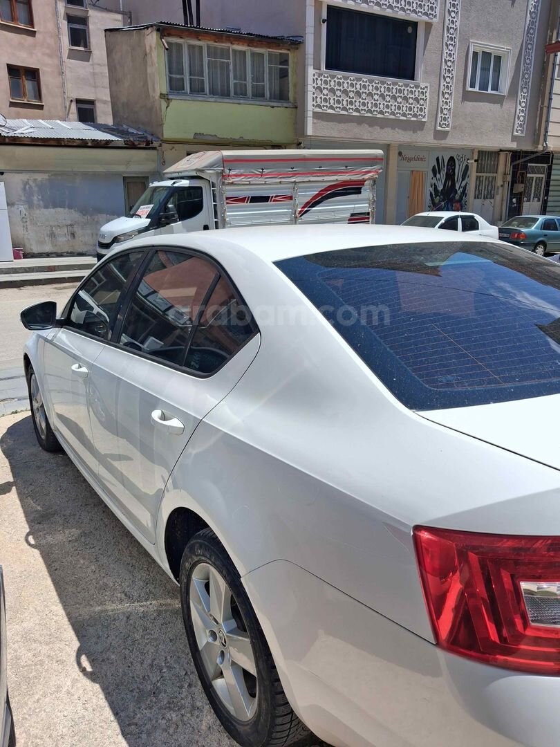 Galeriden Skoda Octavia 1.6 TDI Optimal 2015 Model Bayburt 290.000 km Beyaz 3