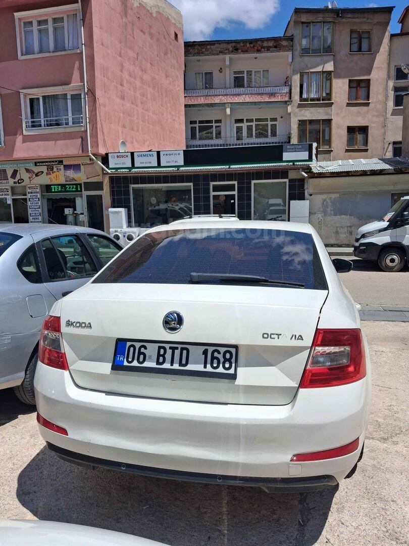 Galeriden Skoda Octavia 1.6 TDI Optimal 2015 Model Bayburt 290.000 km Beyaz 5