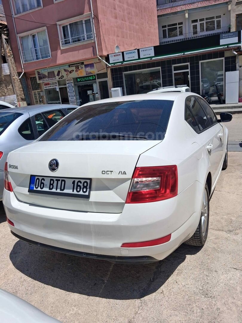 Galeriden Skoda Octavia 1.6 TDI Optimal 2015 Model Bayburt 290.000 km Beyaz 4