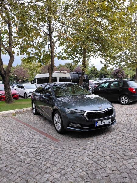 Sahibinden Skoda Octavia 1.0 e-Tec Premium