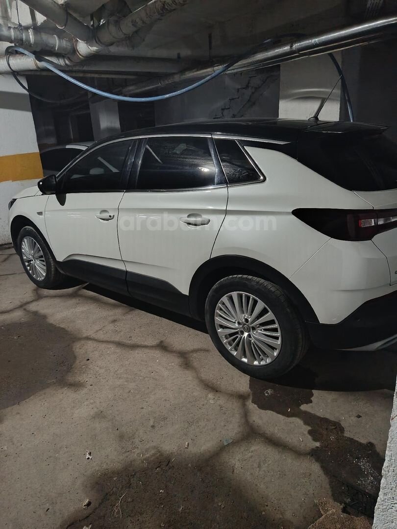 Sahibinden Opel Grandland X 1.2 T Enjoy Skyline 2020 Model Ardahan 135.000 km Beyaz 2