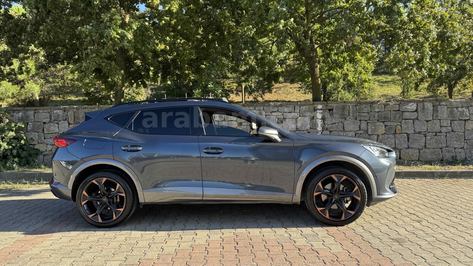Sahibinden Cupra Formentor 1.5 TSI 2024 Model 5