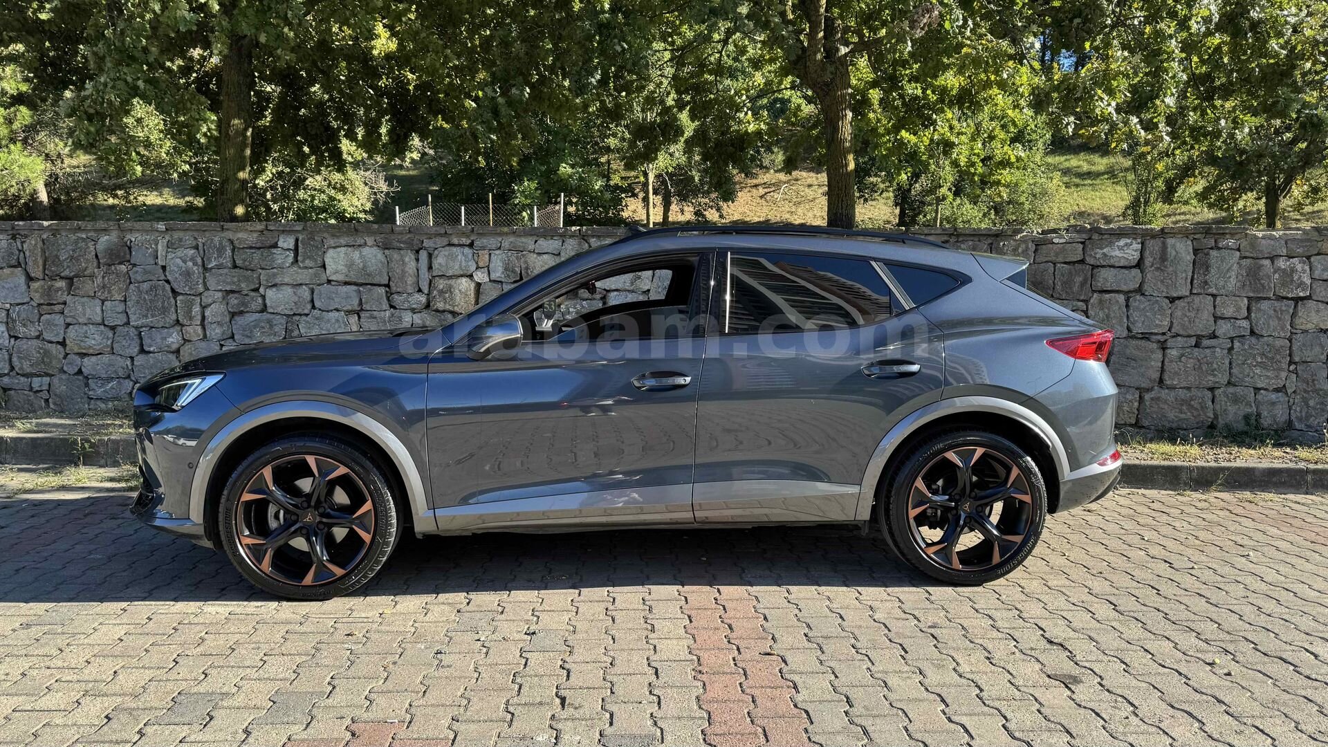 Sahibinden Cupra Formentor 1.5 TSI 2024 Model 3