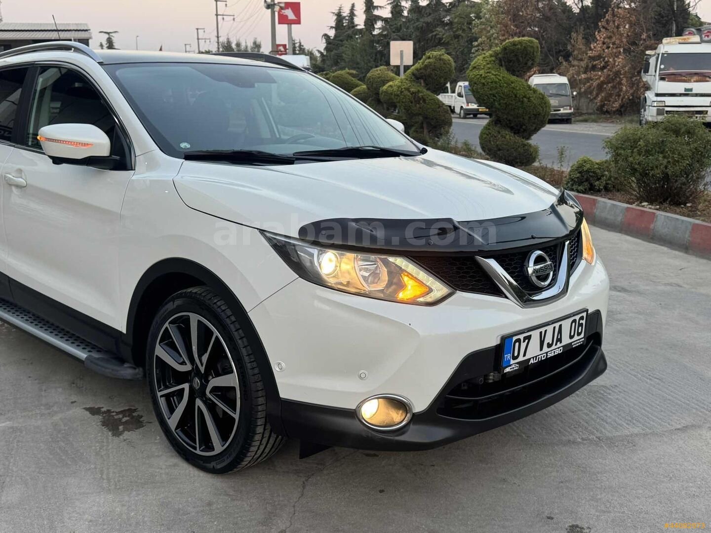 SEBO DAN SADECE 75 BİNDE 6