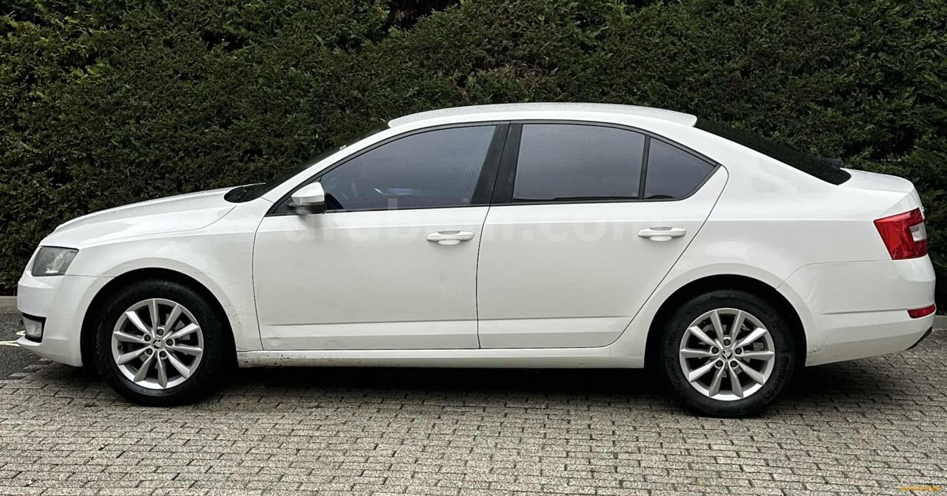 MSY MOTORS KAÇMAYACAK AİLE ARACI PIRIL PIRIL MASRAFSIZ 7