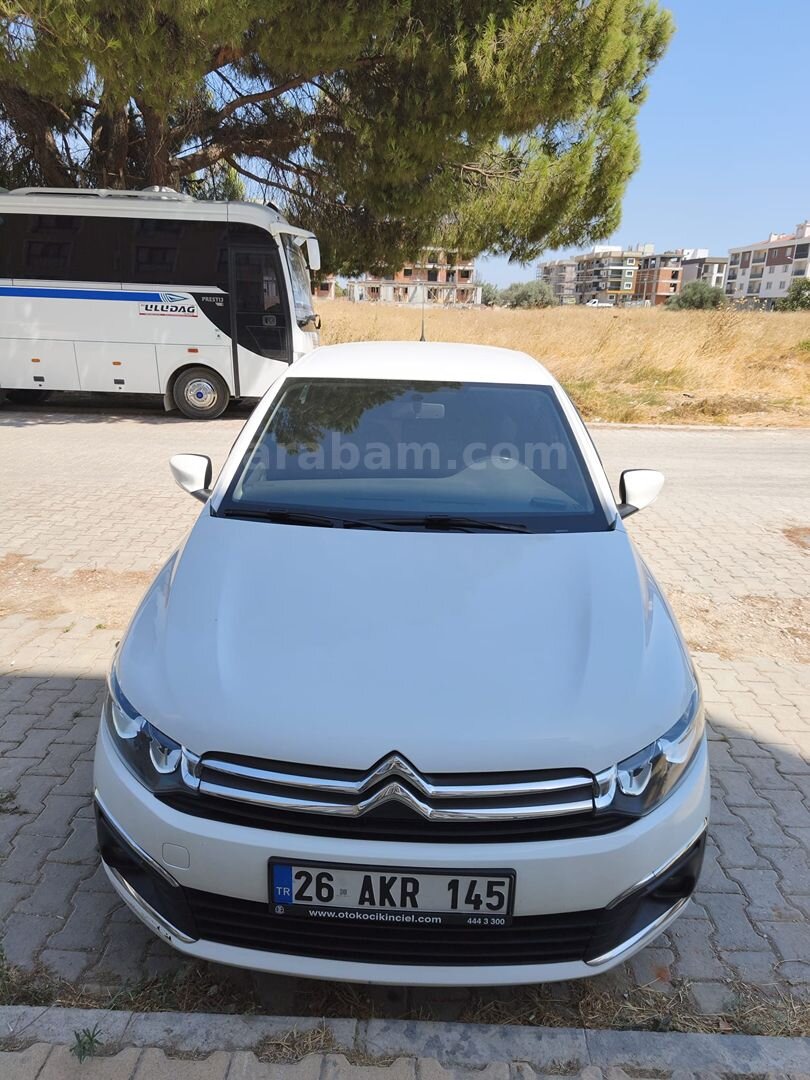 Shine 2020 Model DEĞİŞENSİZ - BOYASIZ 2