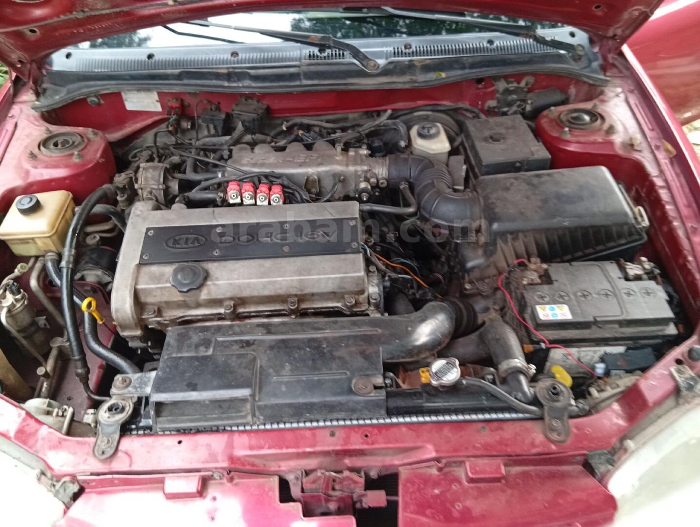 Sahibinden Kia Sephia 1.5 LS 1999 Model Sakarya 284.121 km Bordo 6