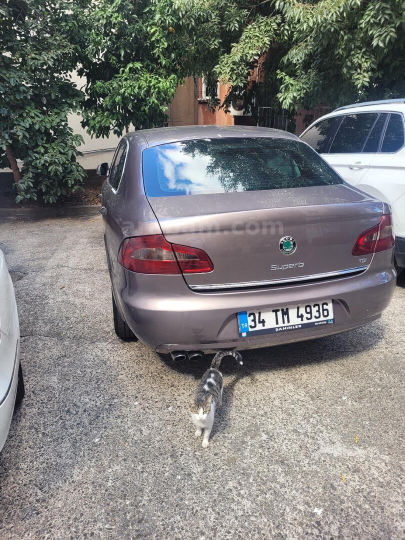 Sahibinden Skoda SuperB 1.6 TDI Elegance 2012 Model İstanbul 151.800 km Mor 3