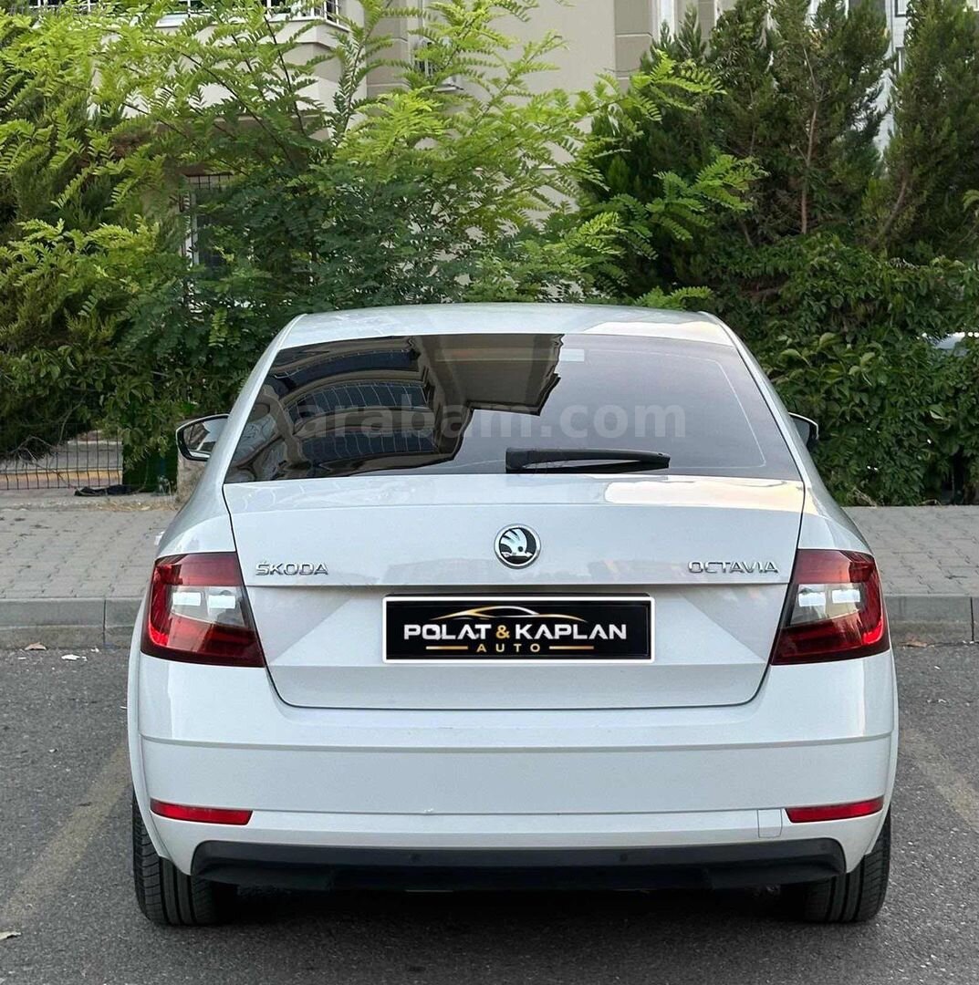 POLAT & KAPLAN AUTO dan 4