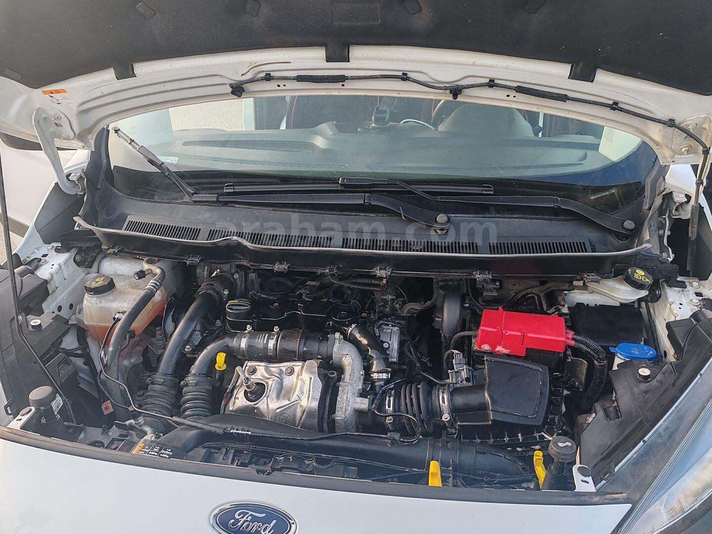 Otomobil ruhsatlı 2020 ford courier 5