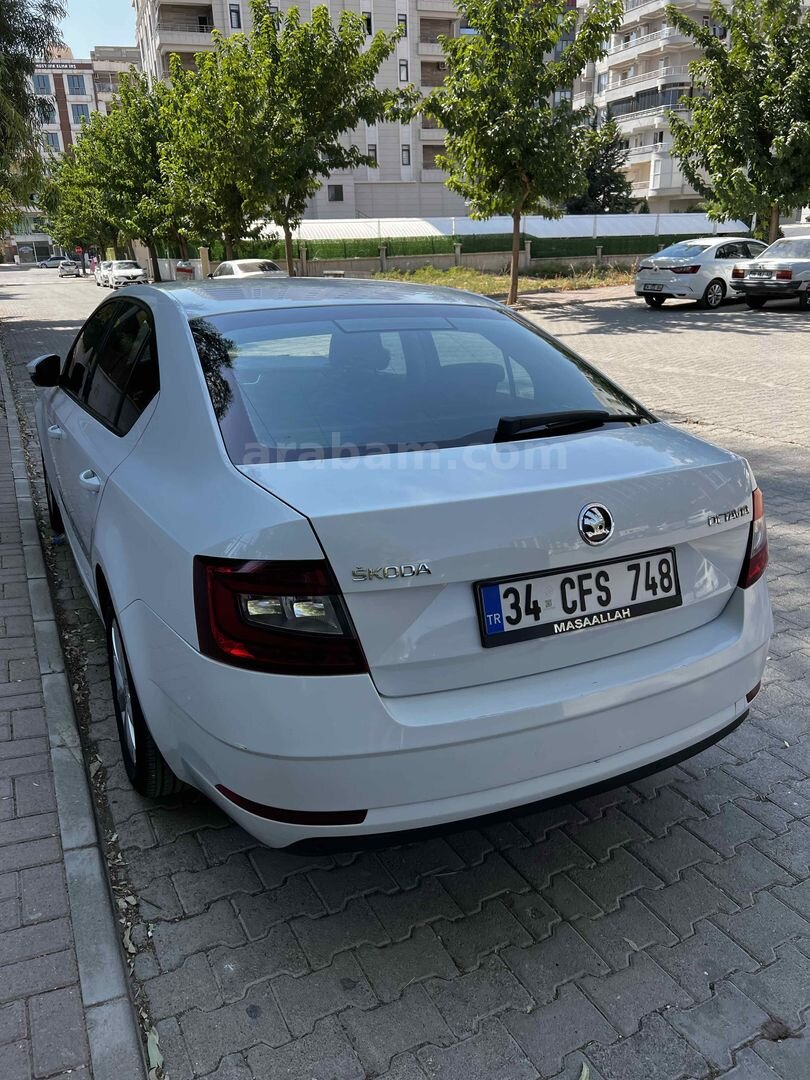 Sahibinden Skoda Octavia 1.6 TDI Style 2019 Model Şanlıurfa 207.100 km Beyaz 4