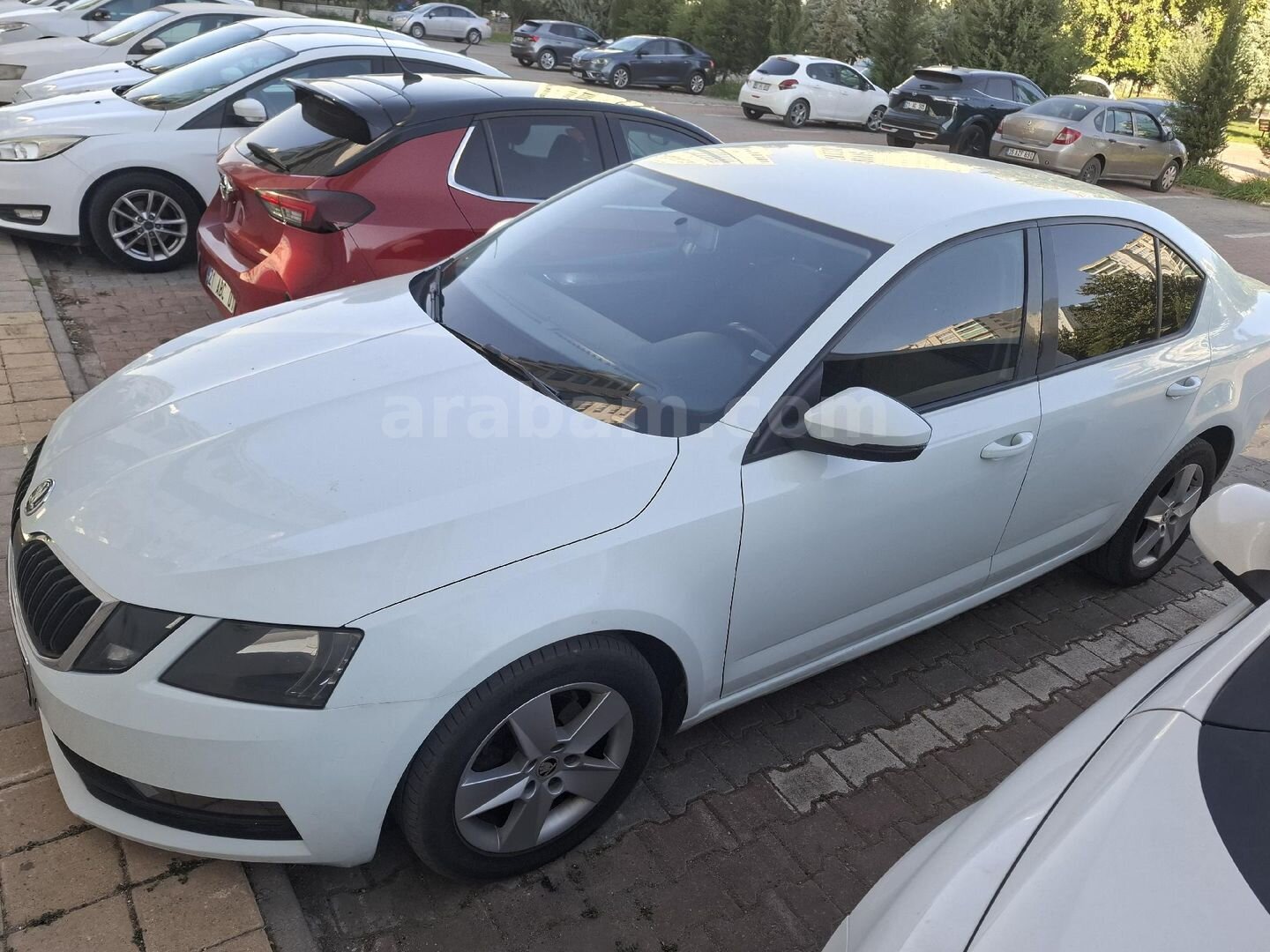 Sahibinden Skoda Octavia 1.6 TDI Optimal 2019 Model Diyarbakır 122.000 km Beyaz 7