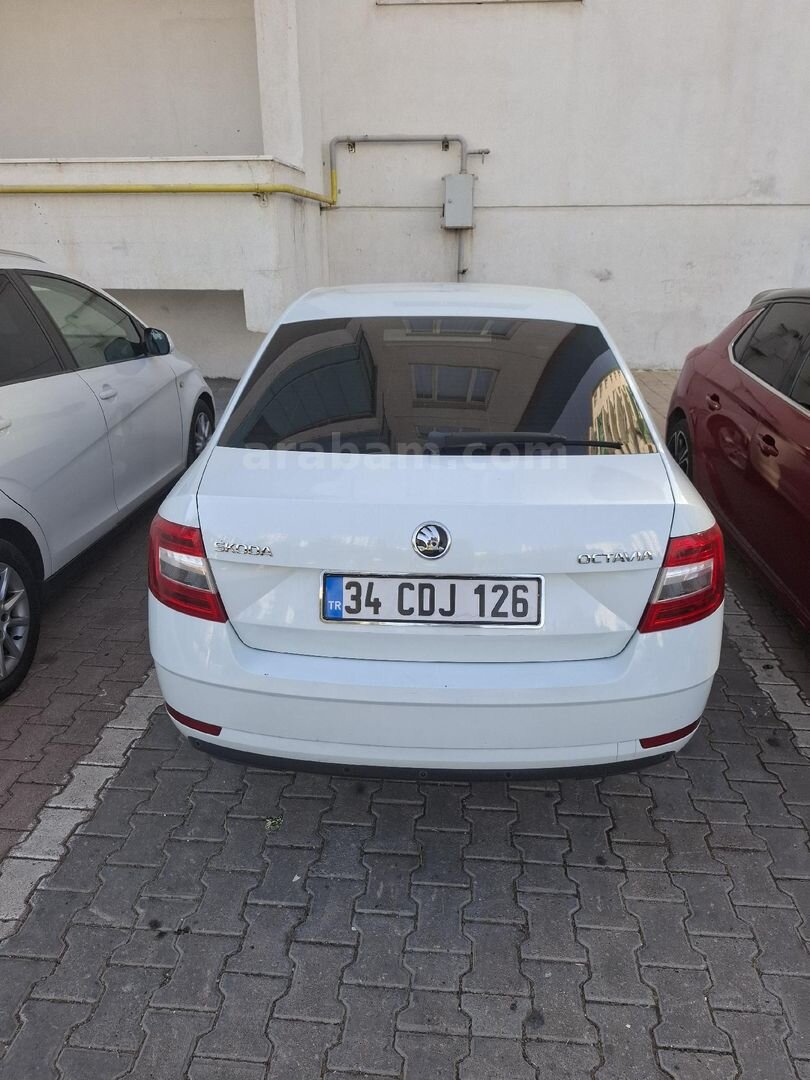 Sahibinden Skoda Octavia 1.6 TDI Optimal 2019 Model Diyarbakır 122.000 km Beyaz 3