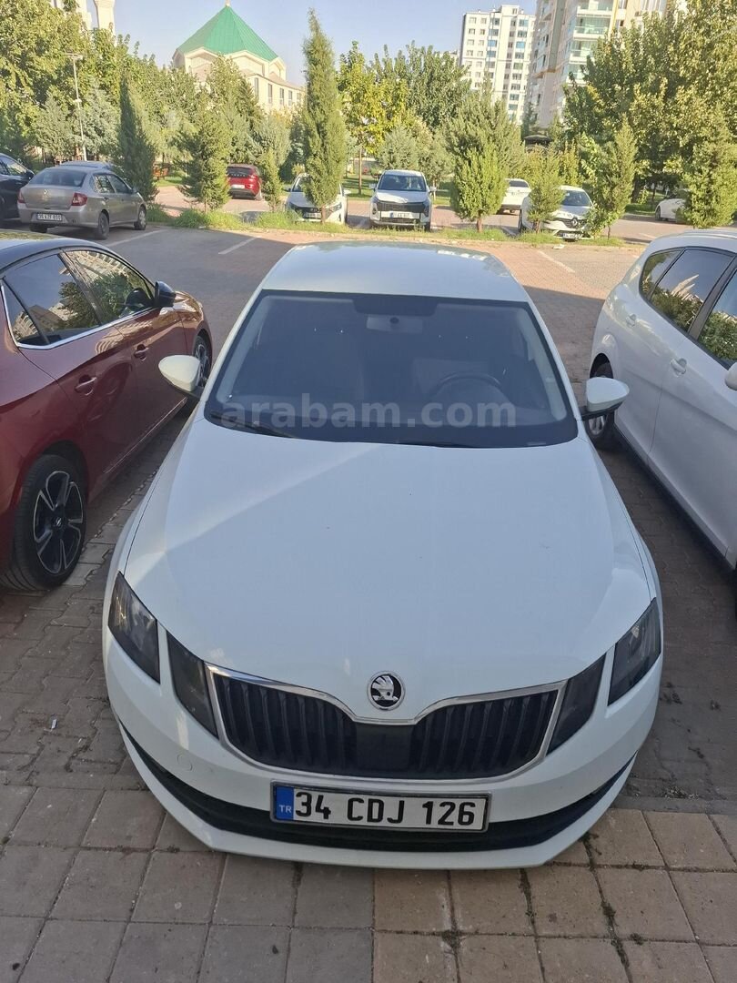 Sahibinden Skoda Octavia 1.6 TDI Optimal 2019 Model Diyarbakır 122.000 km Beyaz 4
