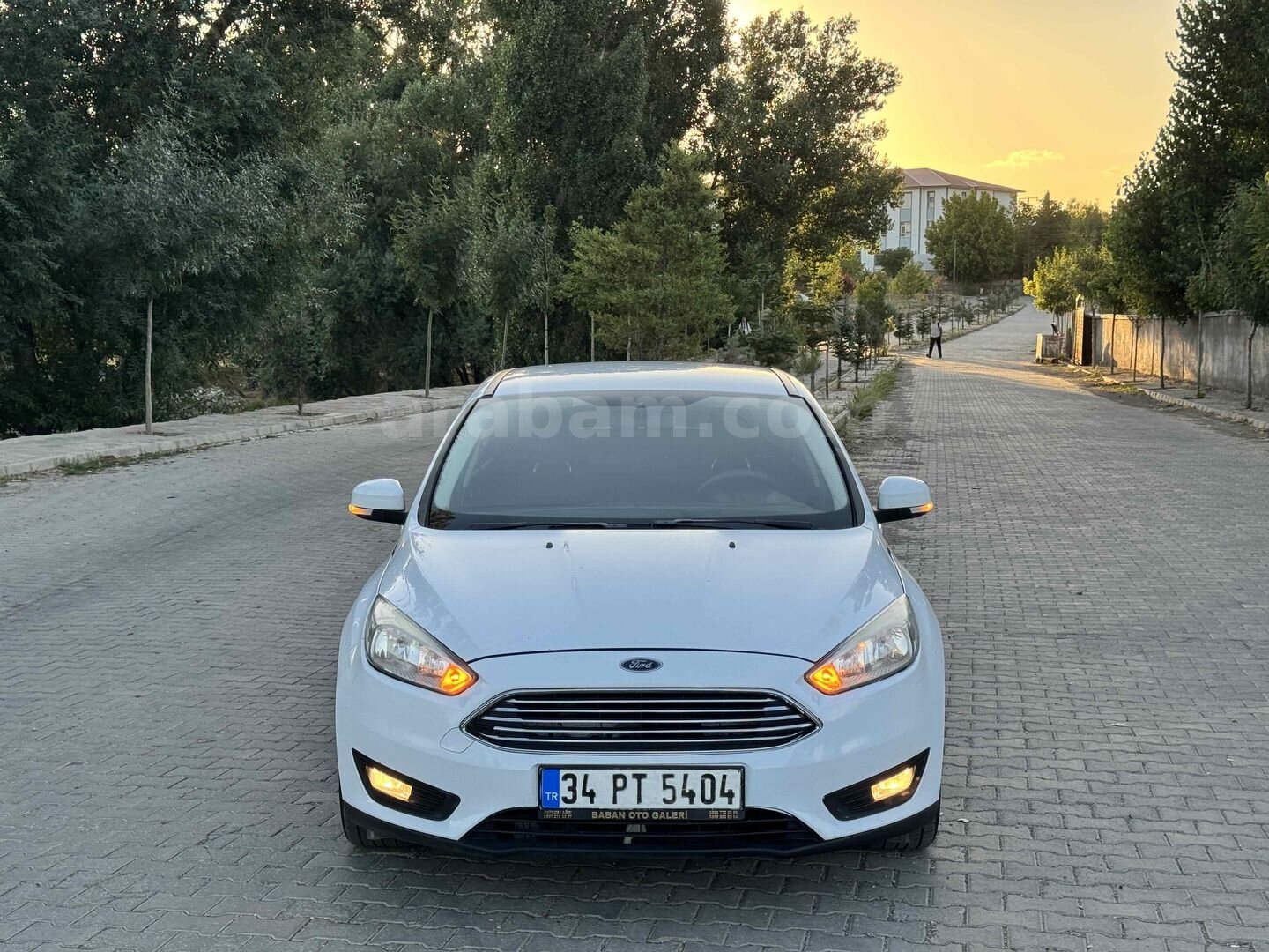 Sahibinden Ford Focus 1.6 TDCi Trend X 2016 Model Ağrı 255.000 km Beyaz 2