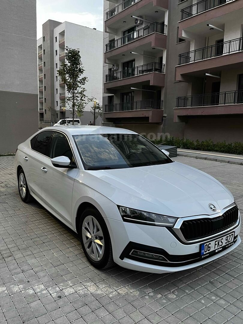 Sahibinden Skoda Octavia 1.0 e-Tec Premium 2023 Model 4