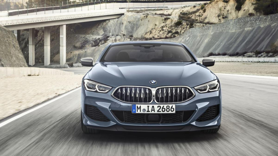 bmw-8-serisi-coupe (22).jpg